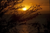 Caribbean Sunset
